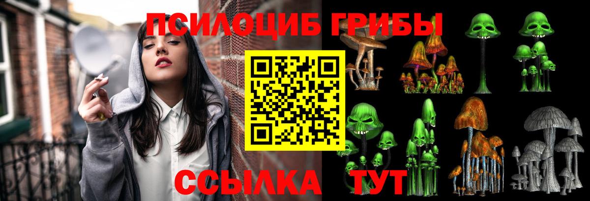 Галлюциногенные грибы мухоморы  Вход с VPN  Заводоуковск 
